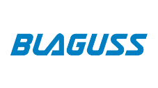 Blauer, kursiver Schriftzug "Blaguss"