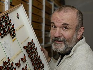 Mann zeigt seine Schmetterlingsammlung