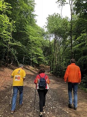 Drei Personen gehen einen Waldweg entlang