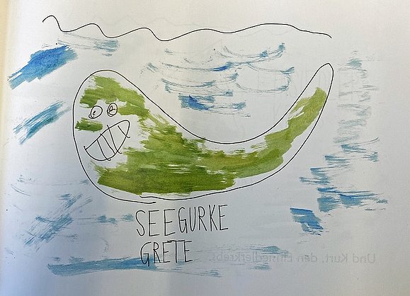 Die grüne Seegurke Grete schwimmt im Wasser.