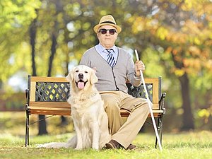 Ein Mann sitzt mit einem Blindenstock auf einer Bank im Park, neben ihm ein Golden Retriever.