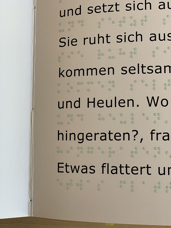 Nahaufnahme Buchseite mit Brailleschrift