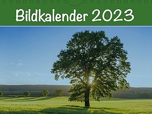 Das Cover des Bildkalenders 2023; Ein sehr schöner grüner Baum auf grünem Feld, dahinter blauer Himmerl und die Sonne, die durch die Baumkrone scheint. Über dem Bild steht in weiß auf grün: Bildkalender 2023