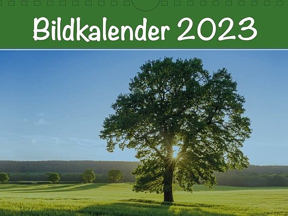 Das Cover des Bildkalenders 2023; Ein sehr schöner grüner Baum auf grünem Feld, dahinter blauer Himmerl und die Sonne, die durch die Baumkrone scheint. Über dem Bild steht in weiß auf grün: Bildkalender 2023