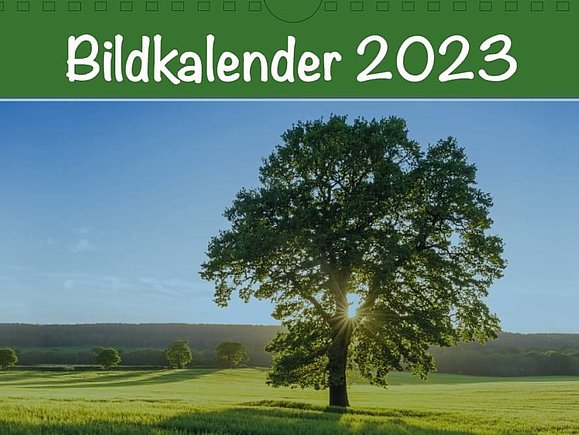 Das Cover des Bildkalenders 2023; Ein sehr schöner grüner Baum auf grünem Feld, dahinter blauer Himmerl und die Sonne, die durch die Baumkrone scheint. Über dem Bild steht in weiß auf grün: Bildkalender 2023