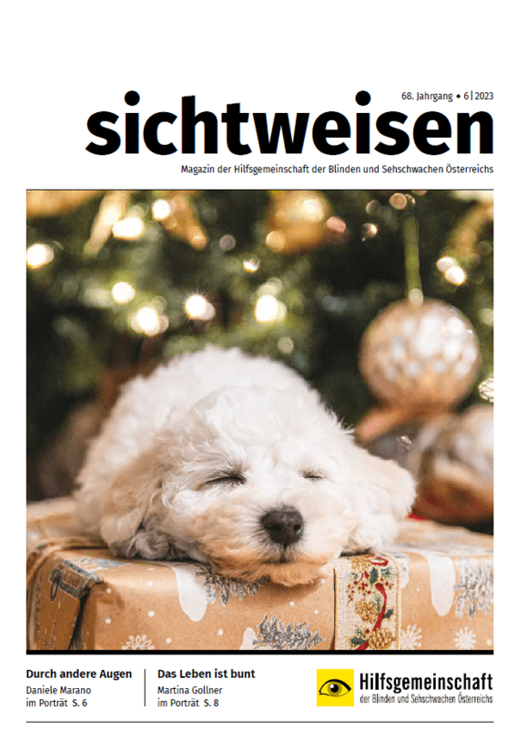 Coverbild Magazin sichtweisen: schlafender weißer Pudel auf Geschenk, Weihnachtsbaum im Hintergrund