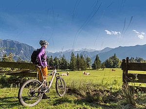 Darstellung eines Sichtfeldes mit Glaskörpertrübung, auch fliegende Mücken genannt