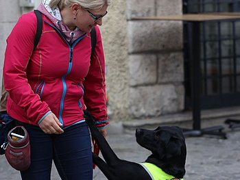 Vortrag: Assistenzhunde bei PTBS und kPTBS Vortrag: Assistenzhunde bei PTBS und kPTBS