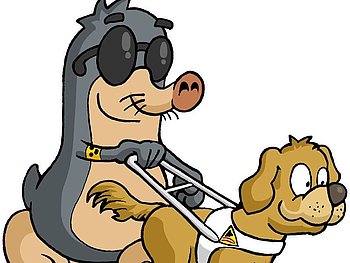 Erste Hilfe Kurs "Hund" Graz