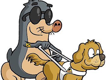 Horizonte erweitern – Erasmus+ Bildungsreise nach Hamburg