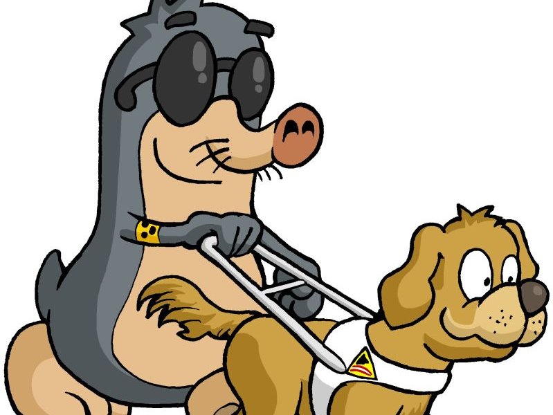 Horizonte erweitern – Erasmus+ Bildungsreise nach Hamburg