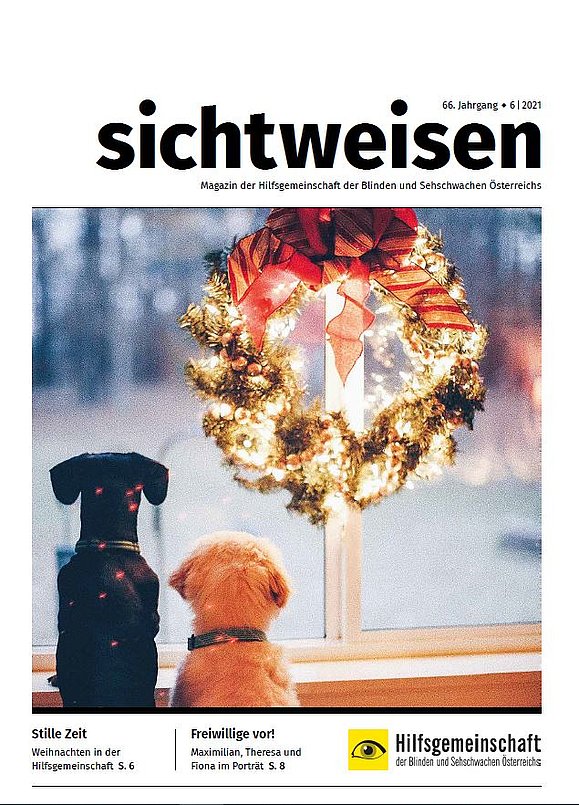 Magazincover mit Aufschrift "sichtweisen" und Bild von zwei Hunden, die aus dem nassen Fenster schauen neben Adventskranz.
