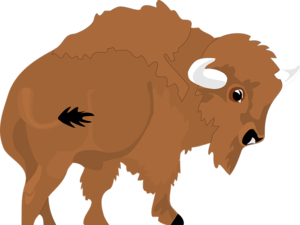 Illustration eines Büffels