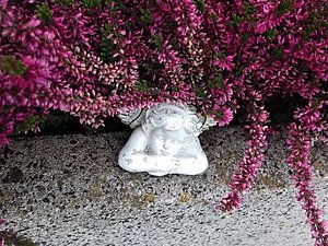 Eine Engelsfigur liegt  unter einer rosa Pflanze