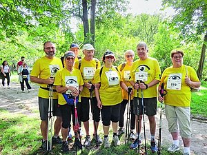 Gruppe von Menschen im Wald mit Nordic Walking Stöcken und gelben T-Shirts.