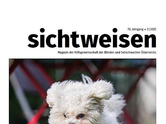 Cover der dritten Ausgabe 2025 des Magazins sichtweisen. Ein kleiner weißer Hund mit lockigem Fell springt über eine Wiese. Im Hintergrund rote Tisch- und Sesselbeine.