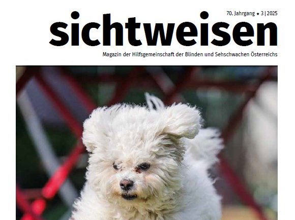Cover der dritten Ausgabe 2025 des Magazins sichtweisen. Ein kleiner weißer Hund mit lockigem Fell springt über eine Wiese. Im Hintergrund rote Tisch- und Sesselbeine.