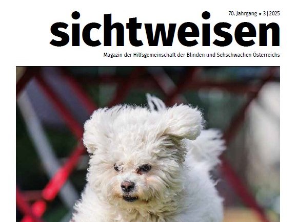 Cover der dritten Ausgabe 2025 des Magazins sichtweisen. Ein kleiner weißer Hund mit lockigem Fell springt über eine Wiese. Im Hintergrund rote Tisch- und Sesselbeine.