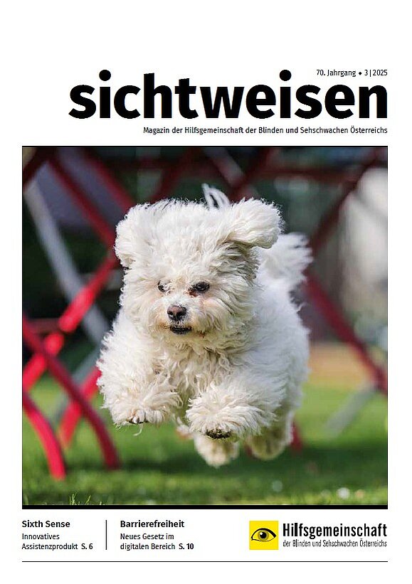 Cover der dritten Ausgabe 2025 des Magazins sichtweisen. Ein kleiner weißer Hund mit lockigem Fell springt über eine Wiese. Im Hintergrund rote Tisch- und Sesselbeine.