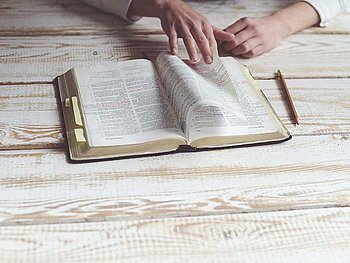 Entdecken Sie die Welt der Bibel: Bibelgespräch