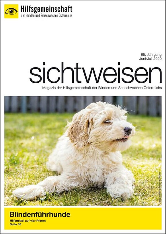 Das sichtweisen-Coverfoto zeigt einen jungen, cremefarbenen Australian Labradoodle auf einer Wiese, passend zum Thema Blindenführhunde.