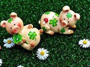 Drei kleine Keramikschweinchen mit Kleeblättern auf den Körpern liegen auf dem grünen Rasen, auf dem auch Gänseblümchen sind-