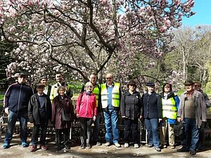 Eine Gruppe von 13 Personen steht im Park vor einem blühendem Baum.