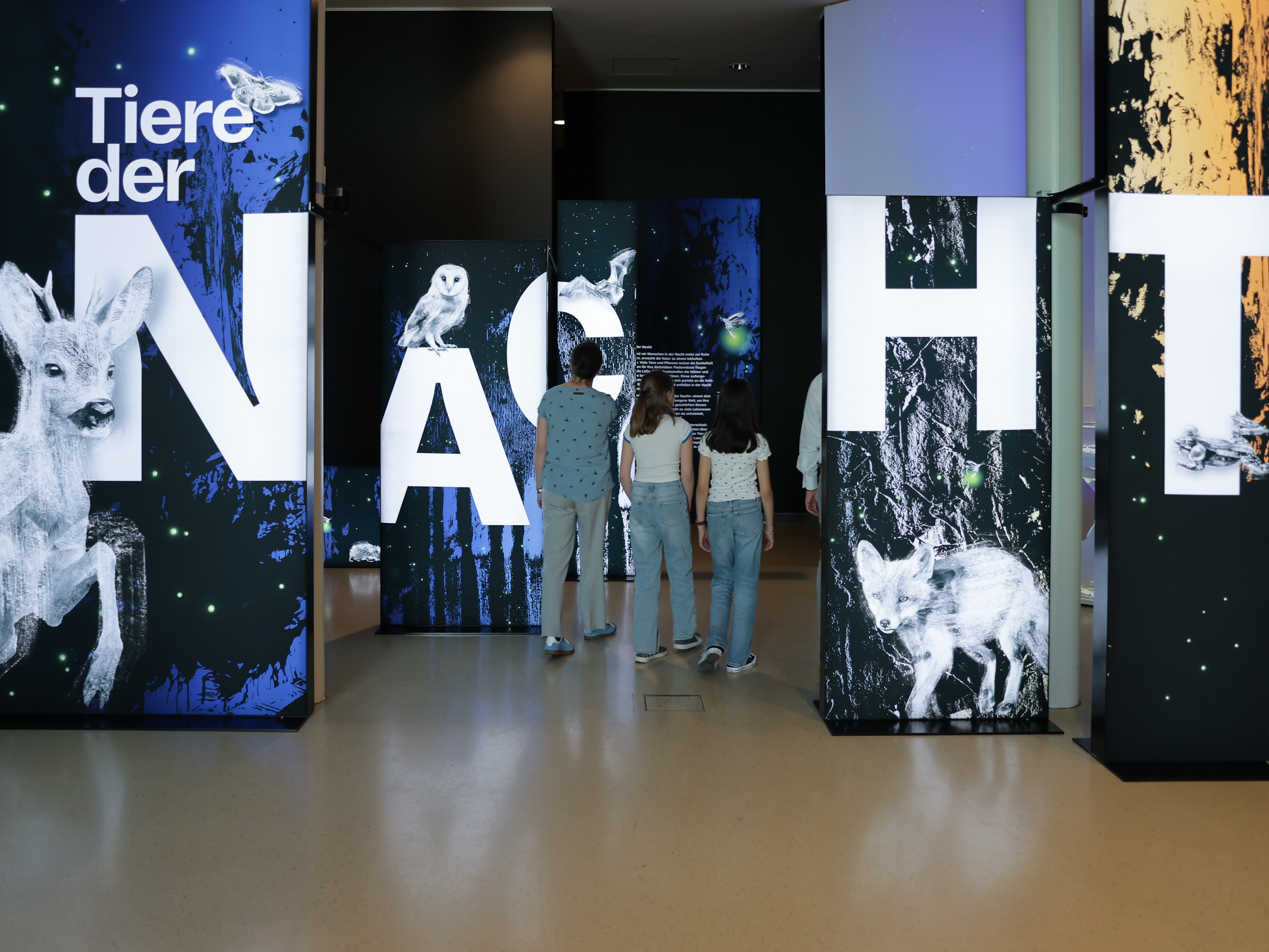 Drei Besucher:innen betreten die Ausstellung "Tiere der Nacht" im Museum Niederösterreich.