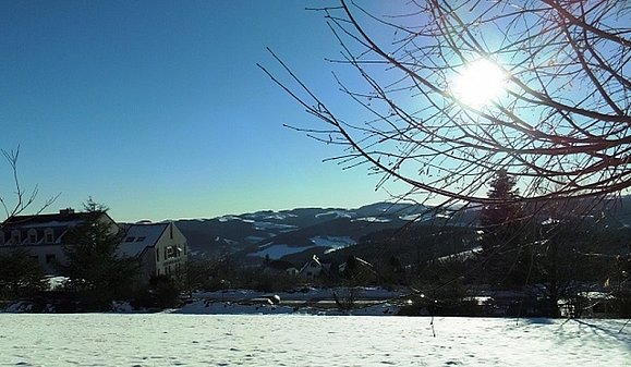Schneelandschaft mit Bergen, Bäumen und Häusern.