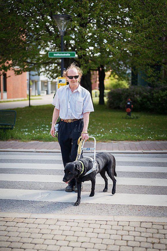 älterer Mann geht mit Blindenführhund über die Straße