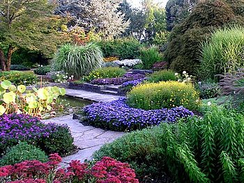 Botanischer Garten Linz