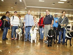 Eine Gruppe von blinden Menschen mit Blindenführhunden stehen in einem Flughafen