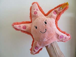 Ein rosaner Kuscheltierseestern als Handpuppe lächelt in die Kamera