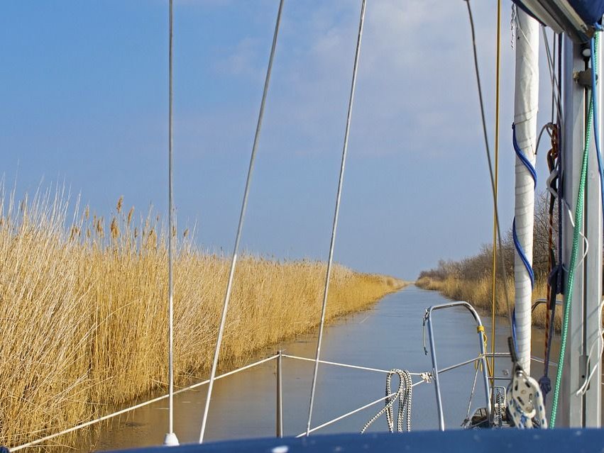 See mit Schilf von Boot aus