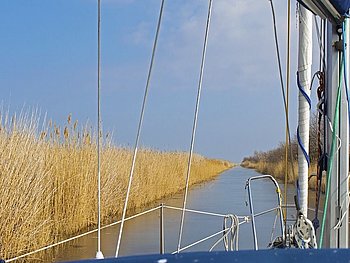 Tagesausflug: Den Seewinkel gemeinsam erkunden