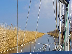 See mit Schilf von Boot aus