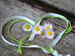 Ein Herz aus grünem Geschenkband mit vier Gänseblümchen in der Mitte liegt auf einem Holzbrett.