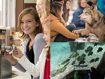 Sehsternchen-Ausflug: WolfScienceCenter